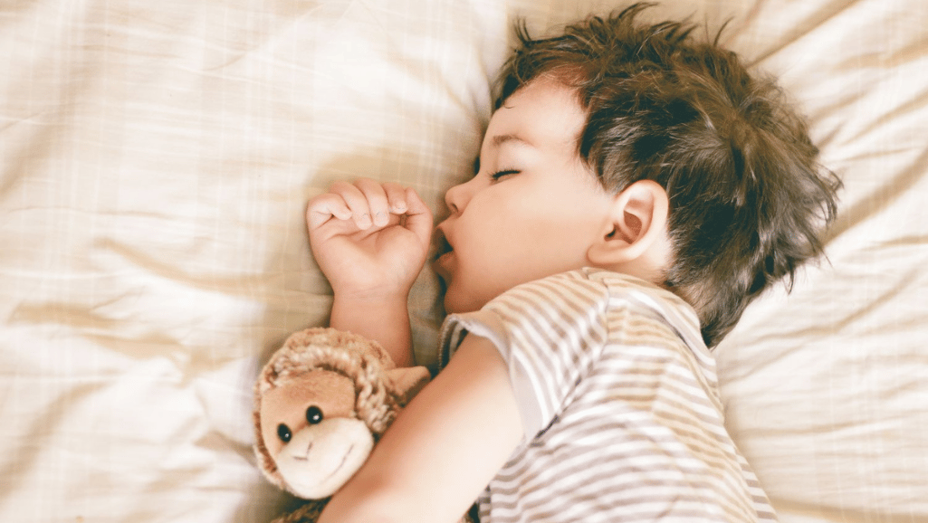 Toddler Pillow Safety Guidelines1