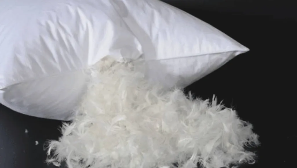 Washing Feather Pillows: A Step-by-Step Guide 1 Washing Feather Pillows