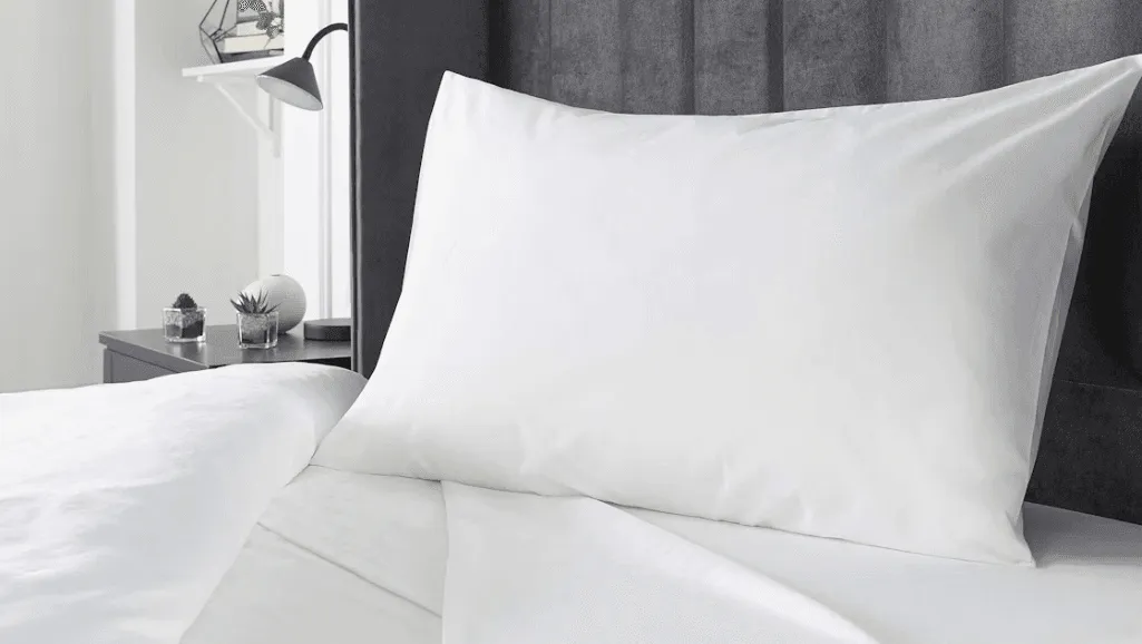 risk of cleaning feather pillows risk of cleaning feather pillows1