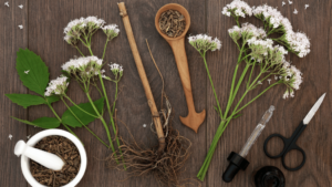 Valerian Root for Sleep