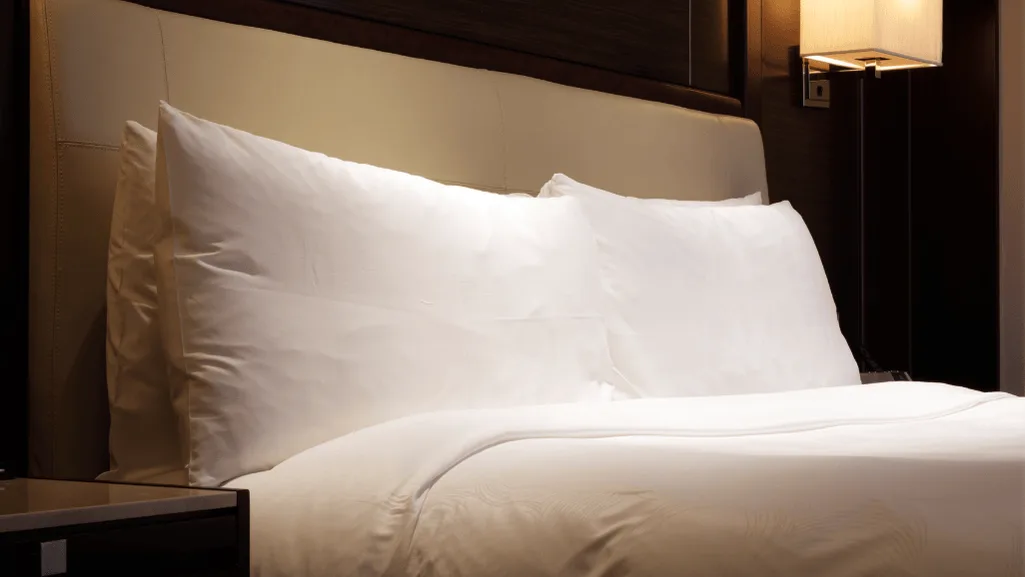 Types of King Size Pillows